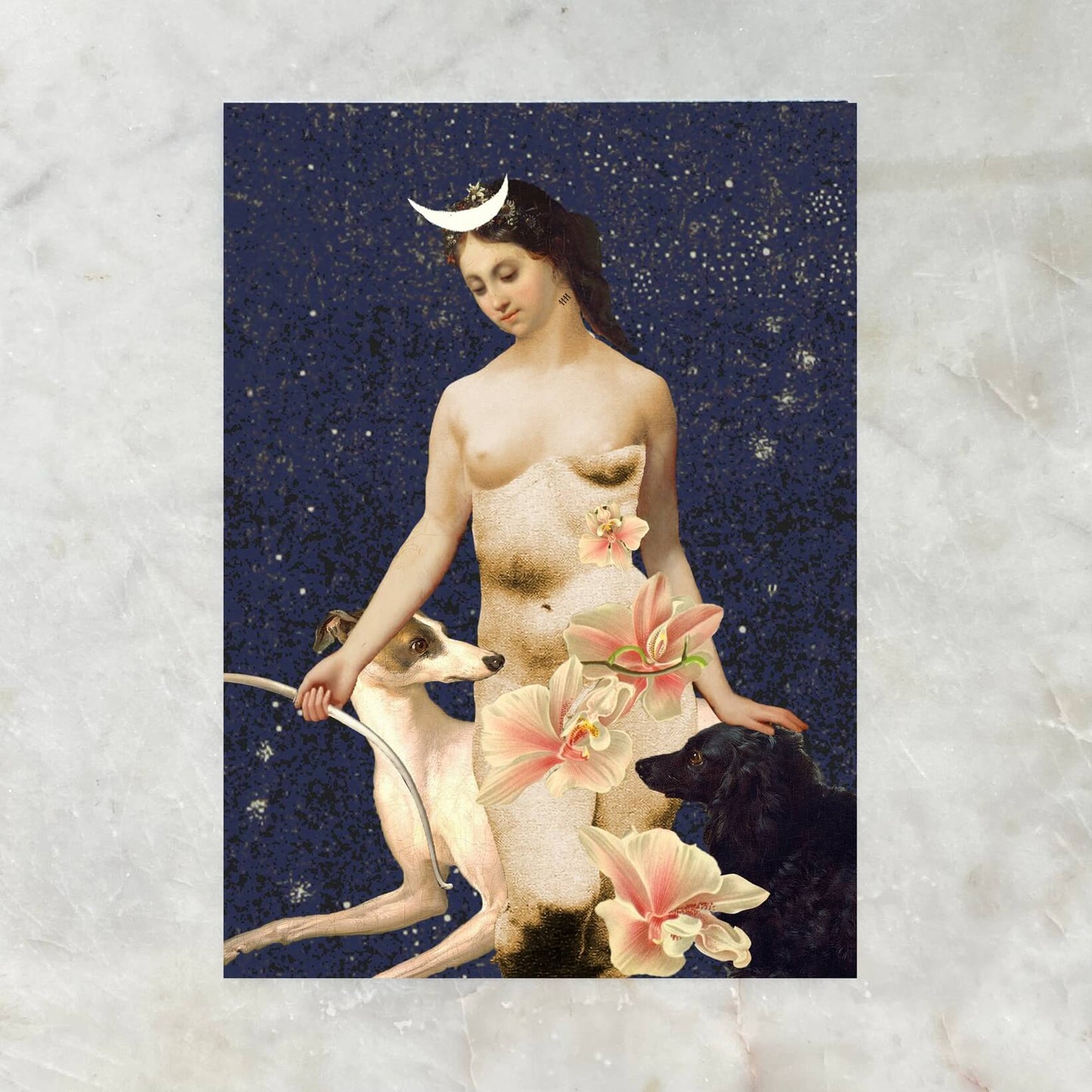 Diana Print