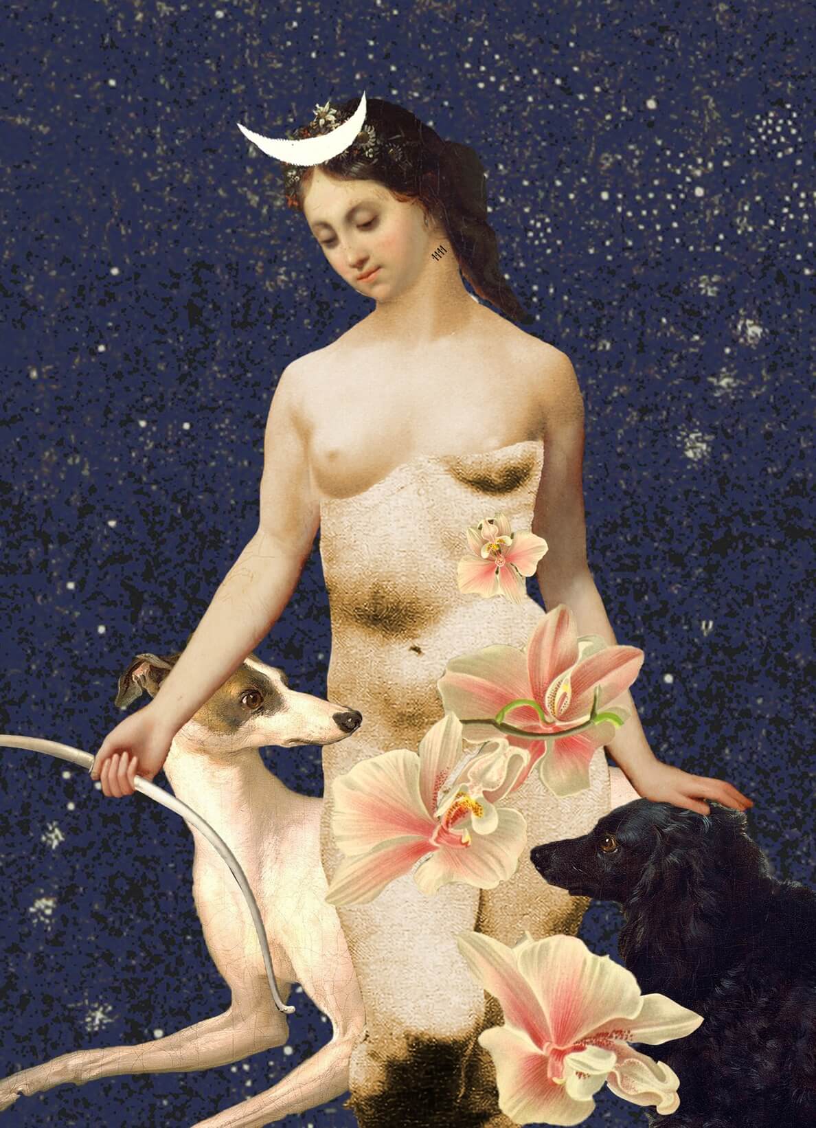 Diana Print