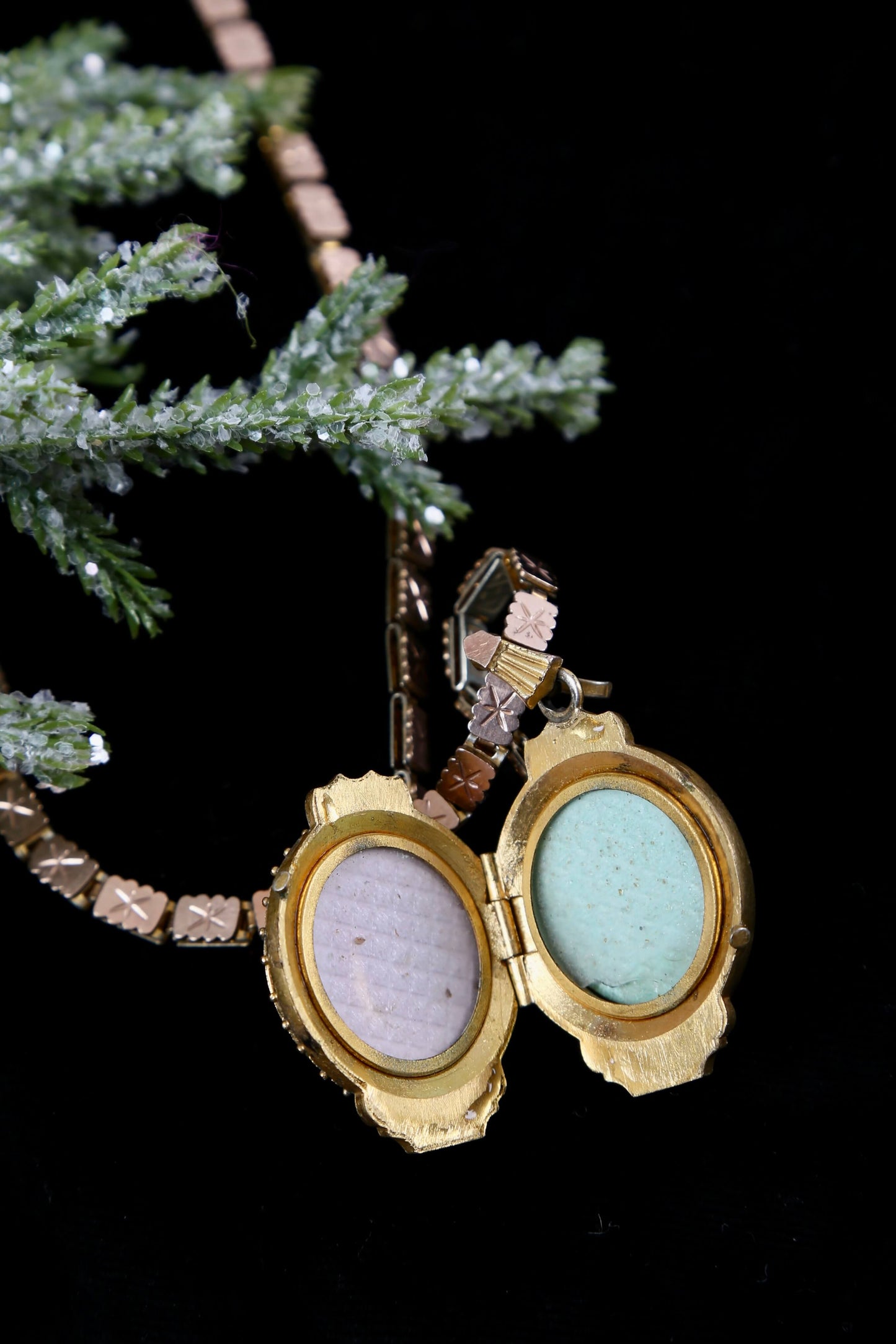 1880’s Victorian Stag Locket