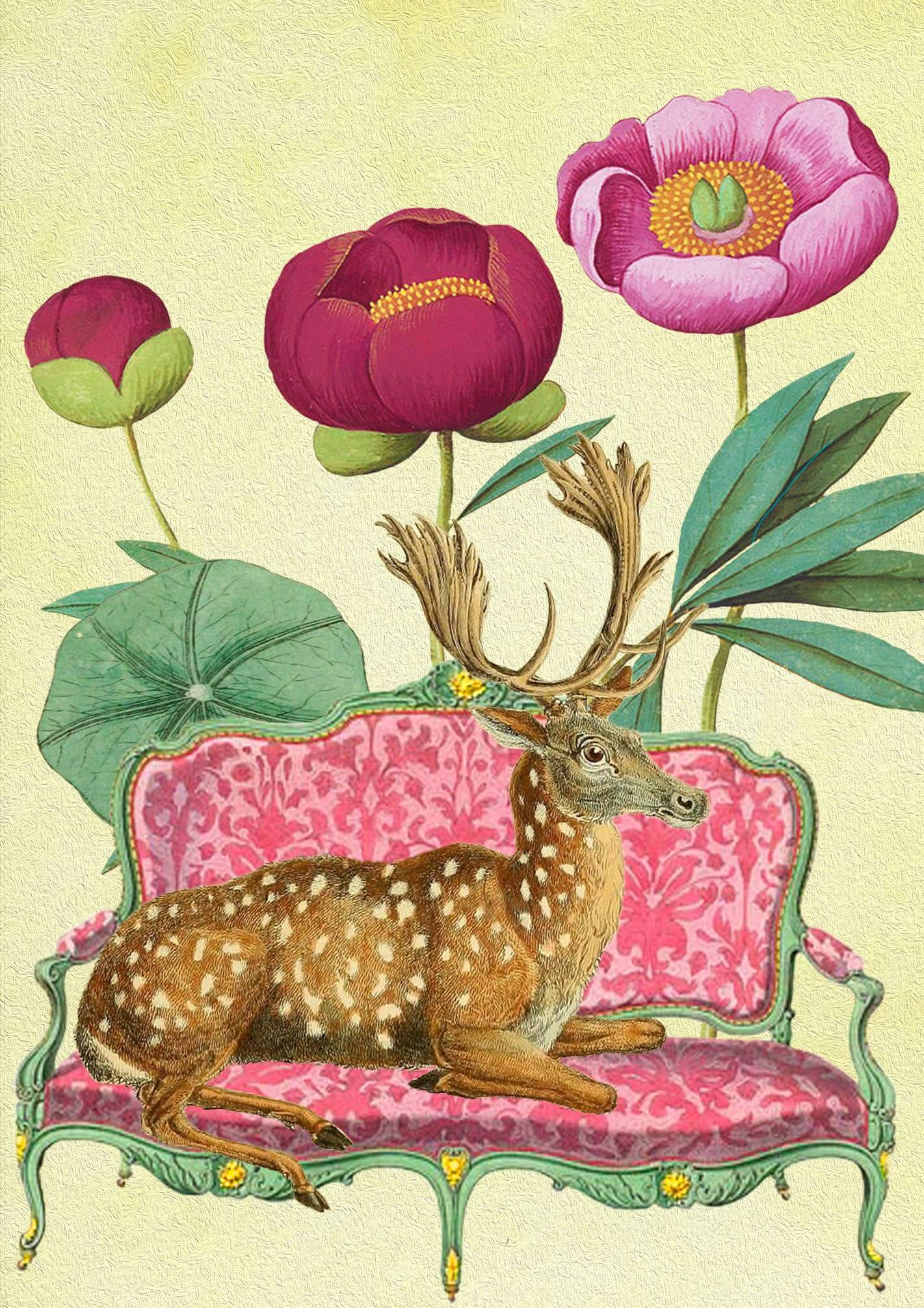 On the Couch Card