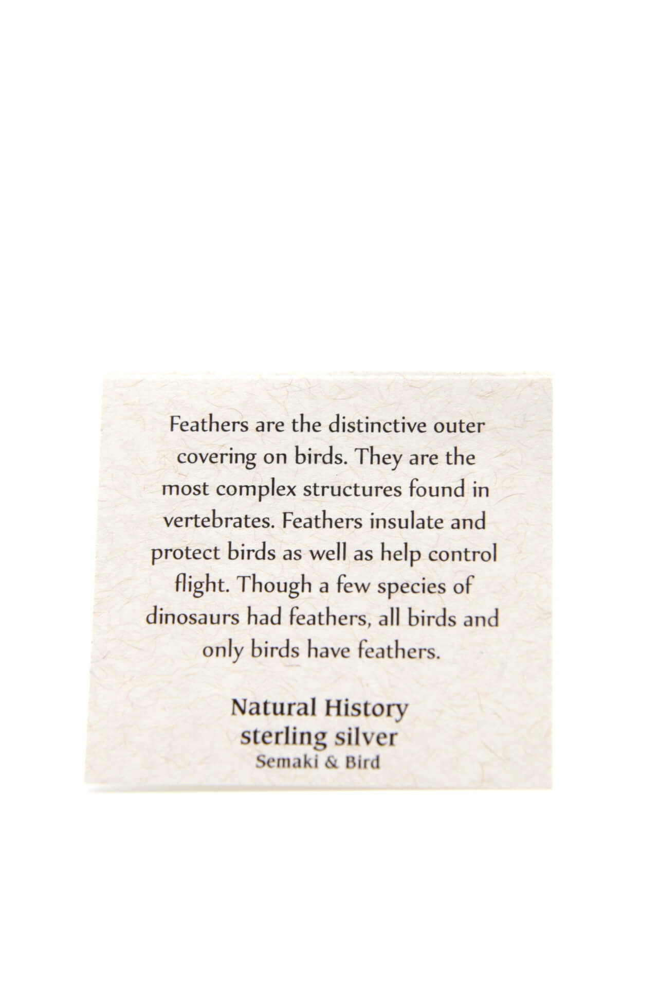 Feather Stud Earrings