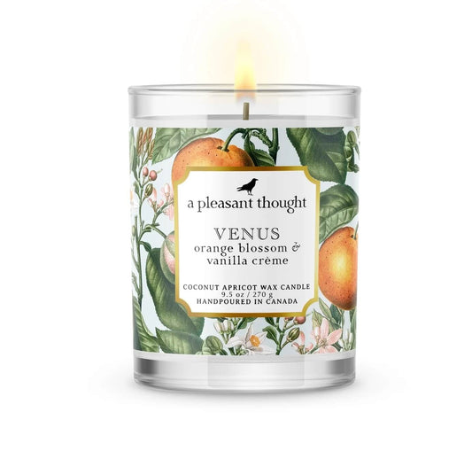 Venus Orange Blossom & Vanilla Crème Candle