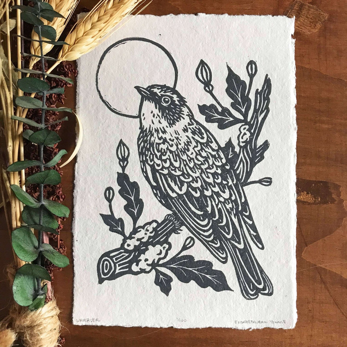 Warbler and Poppies Print